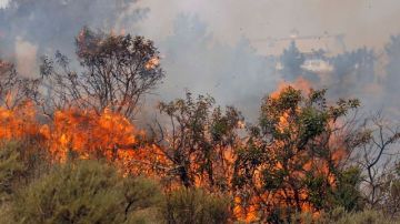 El aire seco y las altas temperaturas contribuyen a que la maleza arda como yesca tambien en las colinas de Glendale, en California.