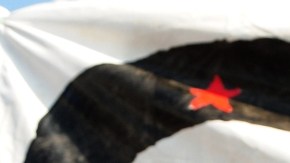 Aleida Guevara, hija del Che Guevara.