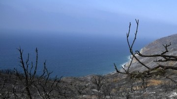 En la foto se puede apreciar una de las  áreas afectadas por el fuego que está totalmente carbonizada. Los meteorólogos dicen  que la mayor humedad que se registra este fin de semana así como la disminución de los vientos ayudará el trabajo de  los bomberos.