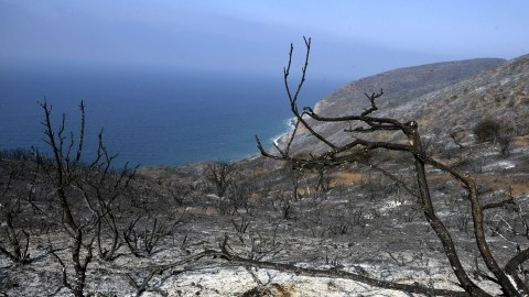 En la foto se puede apreciar una de las  áreas afectadas por el fuego que está totalmente carbonizada. Los meteorólogos dicen  que la mayor humedad que se registra este fin de semana así como la disminución de los vientos ayudará el trabajo de  los bomberos.