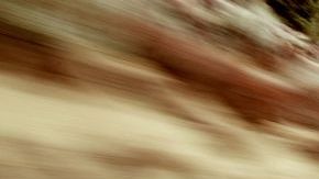 Convertibles, una divertida opcion para quienes buscan potencia y libertad.