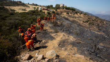Un equipo de bomberos previene el avance de las llamas en un sector montañoso cercano a Point Mugu.