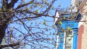 El “club social privado” se ubica en el 2506 W. Division Ave., en Humboldt Park.