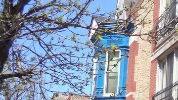 El “club social privado” se ubica en el 2506 W. Division Ave., en Humboldt Park.