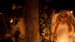 "Dia de muertos" no puede ser registrada pues es Patrimonio Cultural de la Humanidad, según la UNESCO