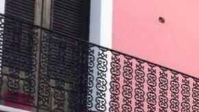 La marcha coincidió con la aprobación en el Senado del proyecto de ley 238 que prohibirá la discriminación por orientación sexual en el empleo.