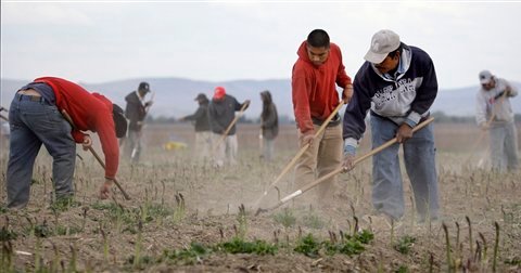 Somos una nación de inmigrantes a la que nunca le han gustado los inmigrantes.