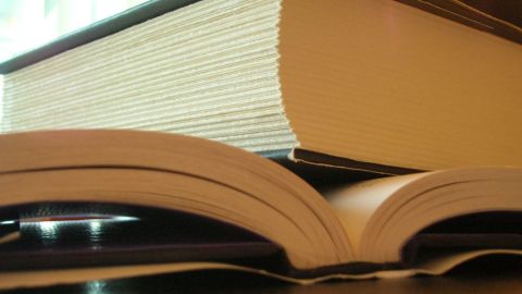 Leila Guerriero es una periodista argentina, autora del libro  'Plano americano'.
