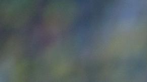 Final inédita en la Champions. Bayern y Dortmund se verán intensamente las caras.