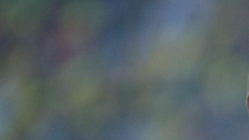 Final inédita en la Champions. Bayern y Dortmund se verán intensamente las caras.