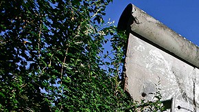 Sección del muro de Berlín es subastada en EE.UU.