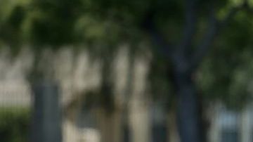 En honor de los militares fallecidos en combate.