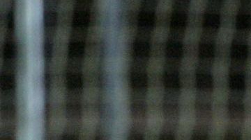 Aragonés quiere la Confederaciones para la 'Furia Roja'.