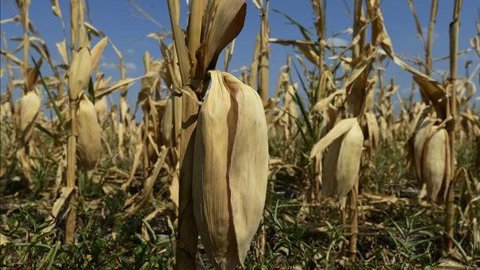 El gasto de los consumidores en EEUU también ha aumentado