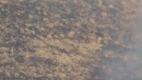 Unas 2,000 personas y 500 viviendas estaban bajo órdenes de evacuación en la comunidad de Lake Elizabeth.