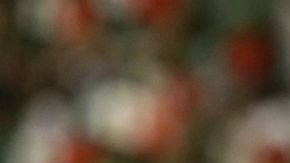 Javier "Chicharito" Hernández fue el hérores del partido al conseguir los dos goles de la selección mexicana