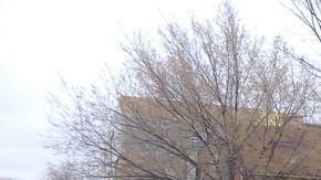 Maestras con estudiantes de la escuela Von Humboldt Elementary, una de las escuelas que cerrarán el próximo año escolar.