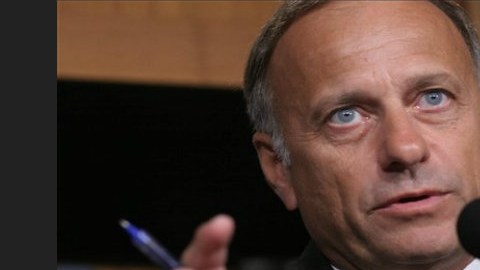 La enmienda fue presentada por el congresista republicano Steve King (R-TX).