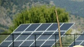 Un campesino examina una parcela de tierra.