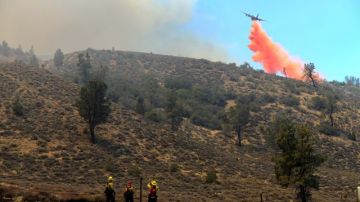 El Servicio Forestal de los EE.UU. aseguró hoy que el incendio está 15 por ciento contenido.