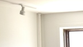 Activistas pro inmigrantes en Chicago de la Alianza por los Derechos de los Inmigrantes.