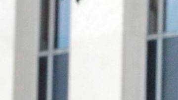 La NSA ha vigilado los datos de las principales compañías que proveen servicio telefónico y acceso a internet.