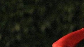 Xavier paul lució a la defensiva y a la ofensiva.