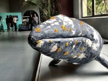 Modelo a escala de la ballena gris en la exposición 'Travesía', instalada en el Zoológico de San Francisco.