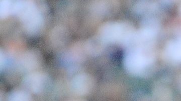 Alfonso Márquez desgrana su historia personal y profesional en el mejor béisbol del mundo.