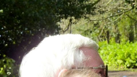 La Corte de California ofrece recursos a los abuelos para ver a sus nietecitos.