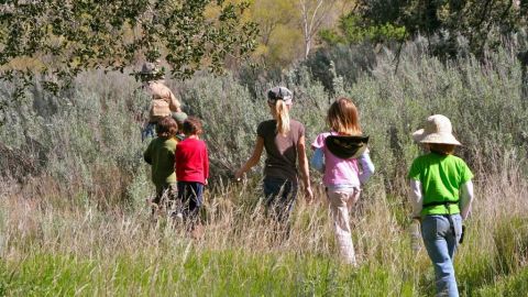 Imagen de un bosque nacional, parte de la campaña llamada Descubre El Bosque.