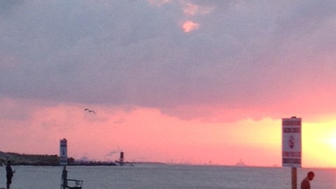 Un ataque de tiburón se registró en una playa de Galveston.