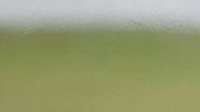 Lotus seguirá compitiendo de manera normal.