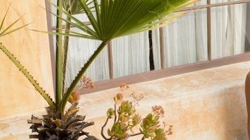 A Natalie Cole le encantaria grabar otro disco con más bachata.