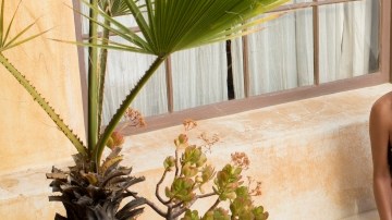 Natalie Cole actuará en el Hollywood Bowl el próximo 14 de agosto.