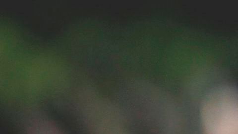 El presidente de México, Enrique Peña Nieto, afirma que ya reconoció al Gobierno de Nicolás Maduro.
