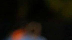 Rechaza Piqué versiones de prensa brasileña sobre fiesta de “La Roja”