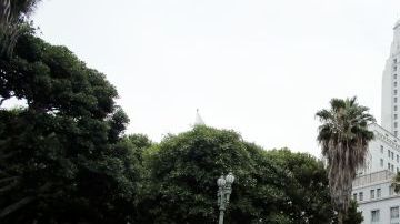 Los taxistas de Los Ángeles realizaron una manifestación alrededor del Ayuntamiento de Los Ángeles para protestar por la competencia de agencias que brindan servicios similares.