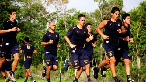 Pumas