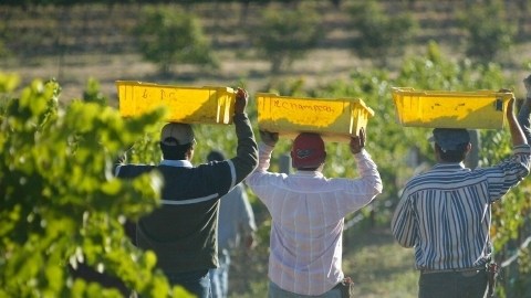 El de los hispanos es el segmento de granjeros de mayor crecimiento, de acuerdo con el Departamento de Agricultura.