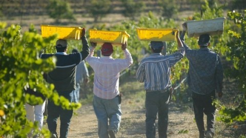 El de los hispanos es el segmento de granjeros de mayor crecimiento, de acuerdo con el Departamento de Agricultura.