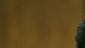 Carlos Ortiz estaba preso en Connecticut y debió comparecer en Bristol.