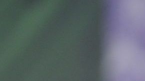 Roger Federer añade el torneo de Hamburgo a su calendario