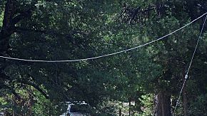 Vehículos de emergencia convergen en el Campamento Tawonga en Sonora, California donde una trabajadora murió y cuatro adultos resultaron heridos por la caída de un roble en un campamento de verano cerca del Parque Nacional Yosemite.