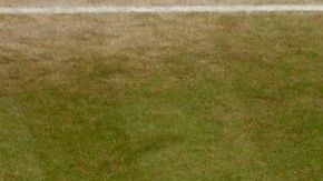 Dos gigantes en el pasto sagrado: Djokovic y Del Potro.