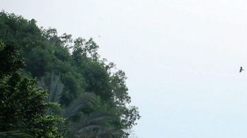 El ejército y policía antimotines vigilan varias de las ciudades egipcias.