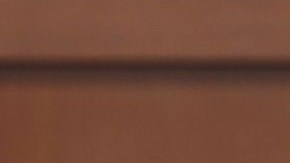 El abogado Bernie de la Rionda durante el interrogatorio a Sybrina Fulton, madre del joven Trayvon Martin, a quien George Zimmerman le quitó la vida.