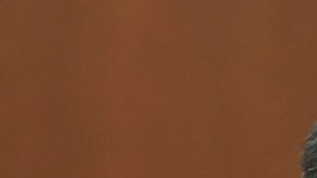 El forense Shiping Bao tuvo que recurrir a “notas personales (no oficiales)” sobre el caso.