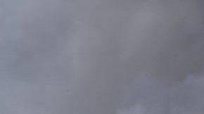 El incidente ocurrió durante el aterrizaje del avión.