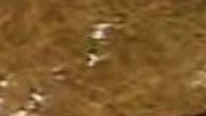 Expertos aseguraron que el avión ya tenía poco combustible y quizá ello contribuyó a que el fuego no haya sido mucho más explosivo.